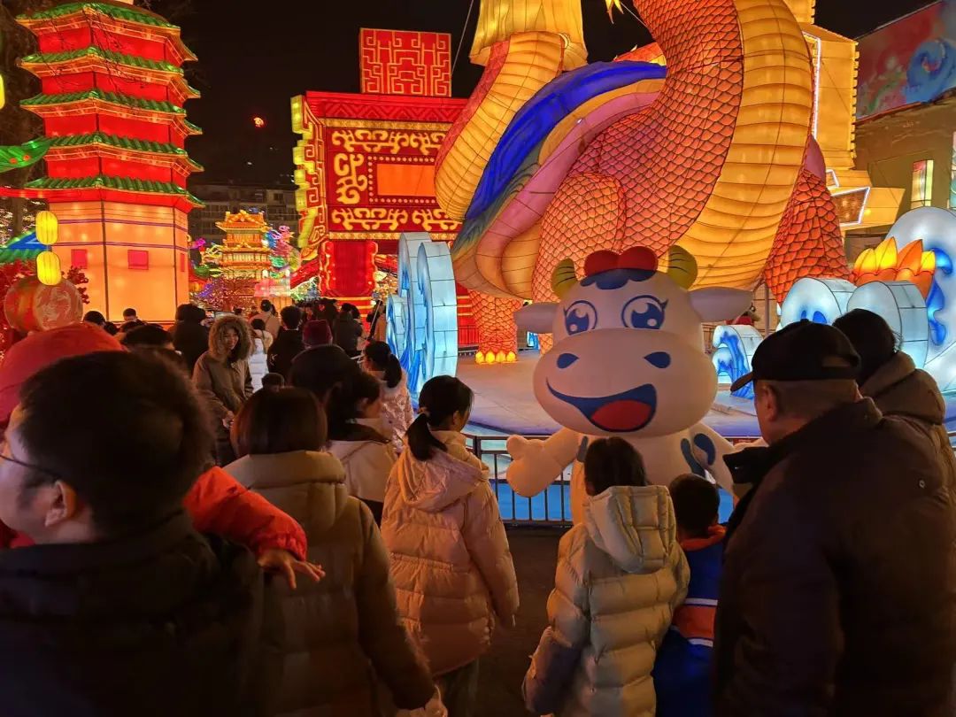 央視直播鄭州龍年燈會(huì)迎新春，花花牛品牌上大分