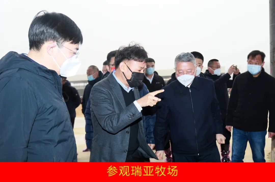 新年開新局 合作促發(fā)展丨佳木斯市委常委、副市長閆志剛一行蒞臨花花牛乳業(yè)集團(tuán)及佳田企業(yè)考察座談