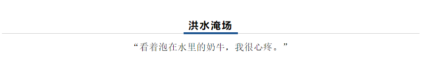 【乳報(bào)·聚焦】“豫”難而上的中原牛人“太中了”！