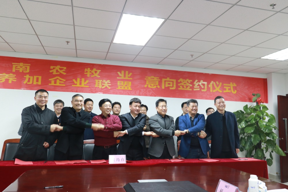 涉農(nóng)企業(yè)強強聯(lián)合，“抱團取暖”共迎企業(yè)發(fā)展的春天