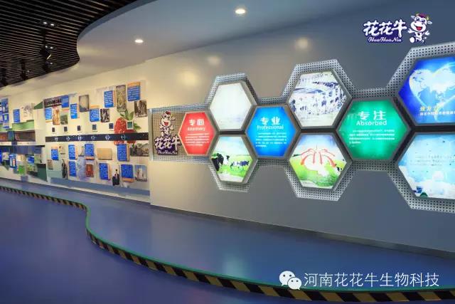 花花牛：務實、創(chuàng)新領潮市場 大企業(yè)體現(xiàn)大擔當