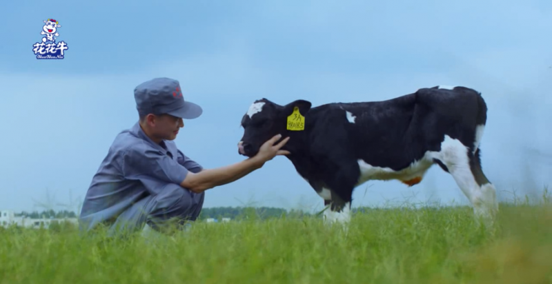 中國動物衛(wèi)生流調(diào)中心首席科學(xué)家范偉興一行蒞臨花花牛郟縣發(fā)展、魯山瑞亞參觀調(diào)研