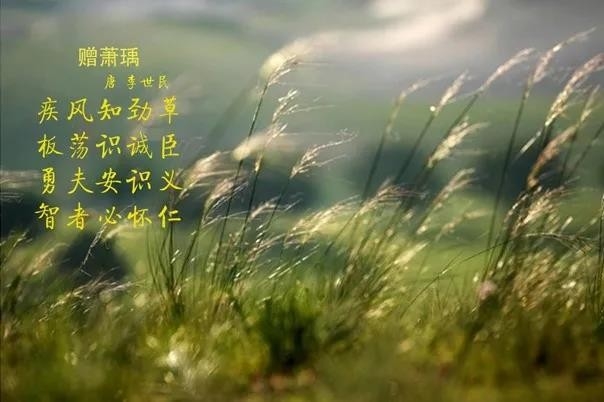 花花牛 | 疾風(fēng)來(lái)臨，你是不是勁草？