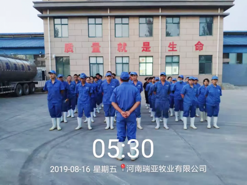 小晨會·大能量——砥礪奮進的花花牛，加油！